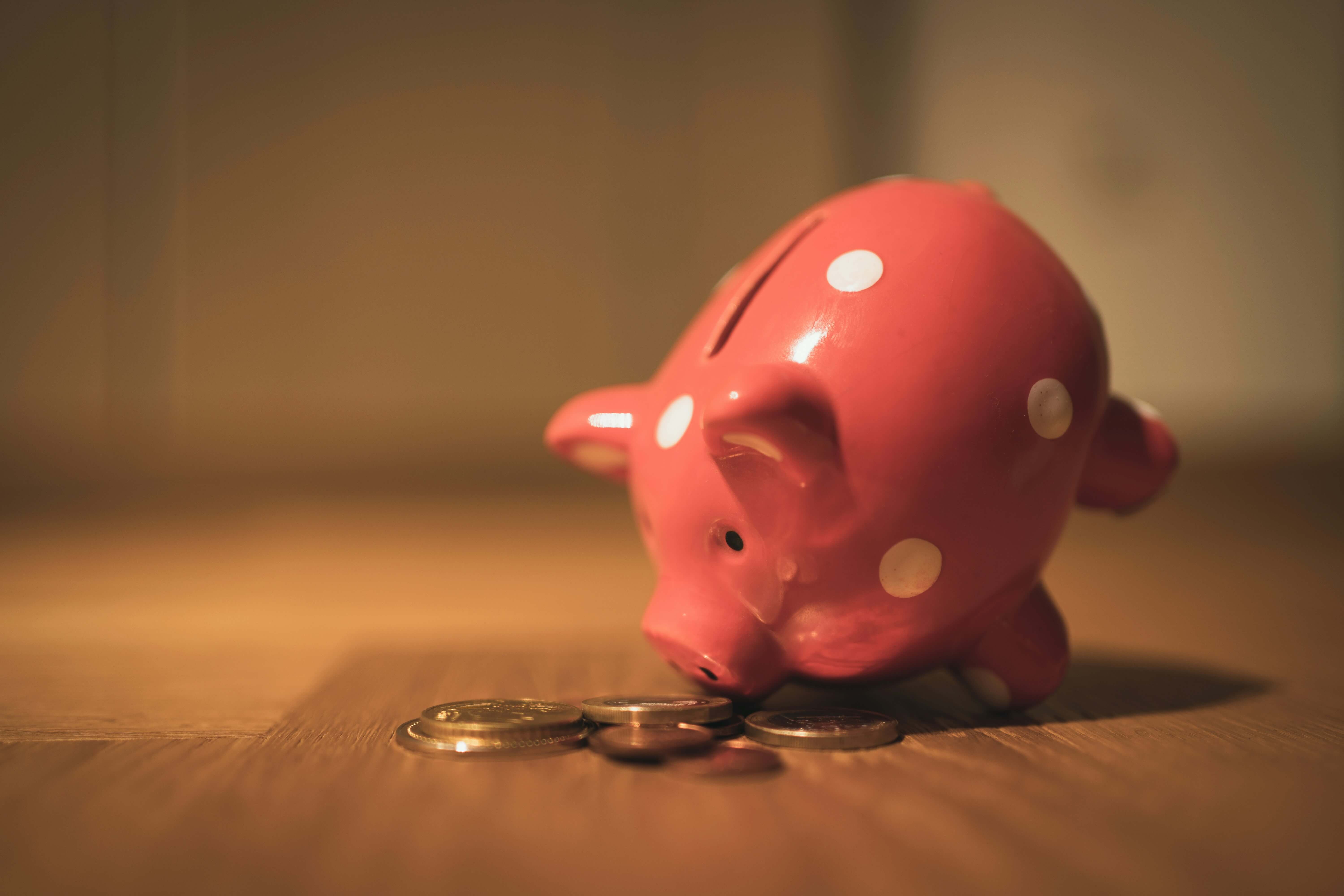 Project Bankruptcy